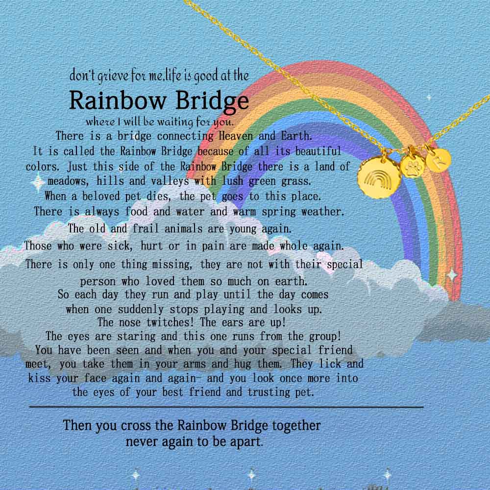 Collana commemorativa personalizzata per animali domestici Rainbow Bridge 